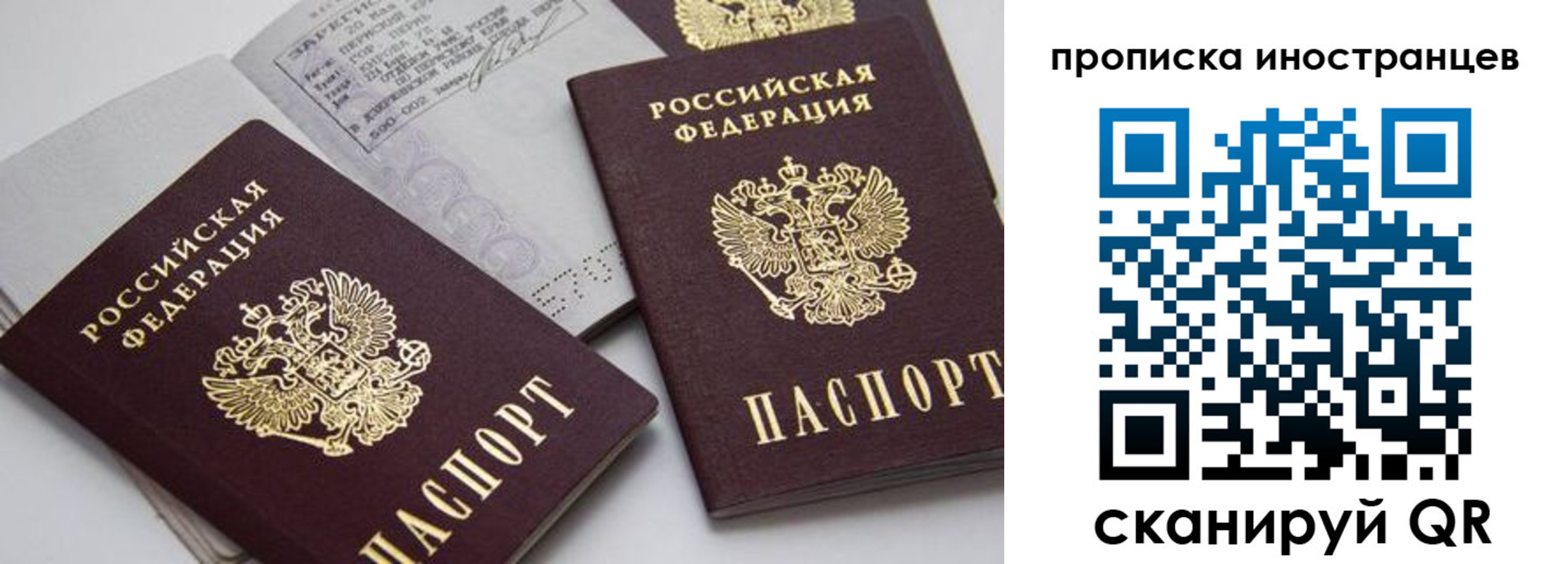 прописка поиск в Мурманске
